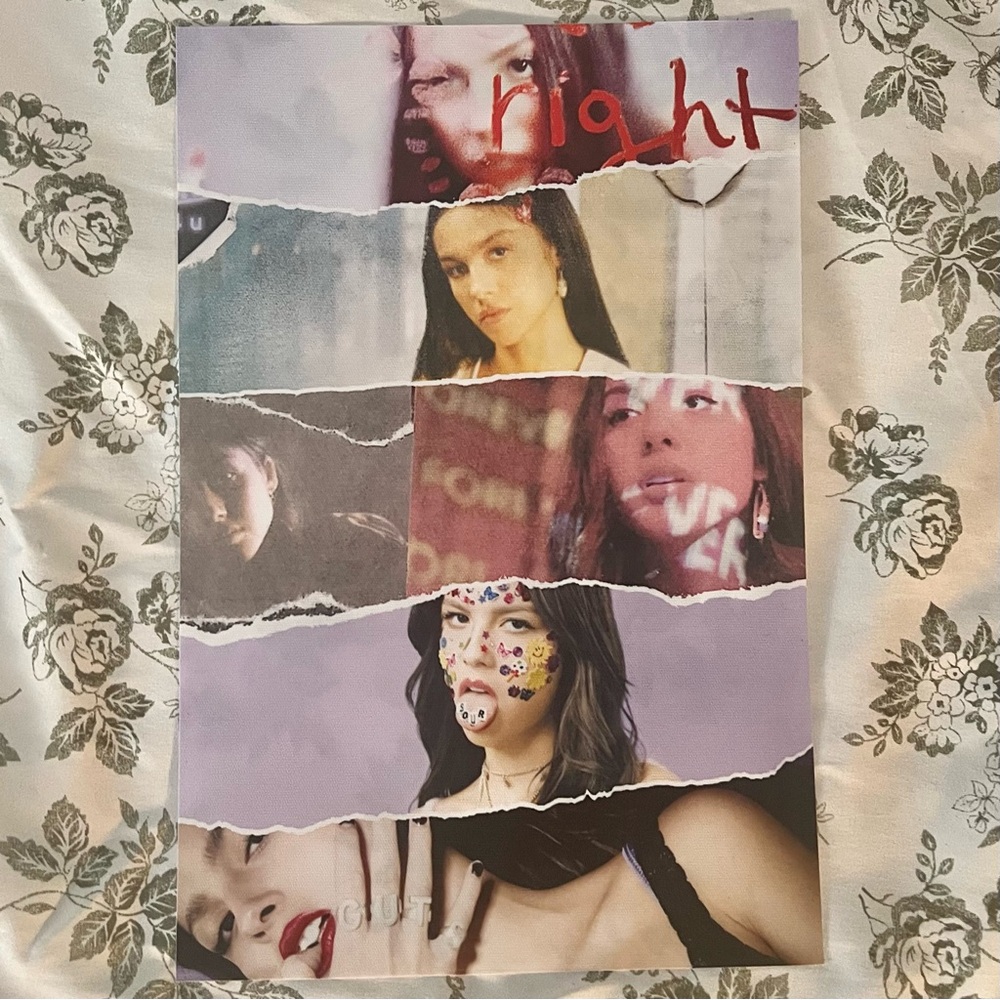 Olivia Rodrigo Canvas 8x12 Combination Poster